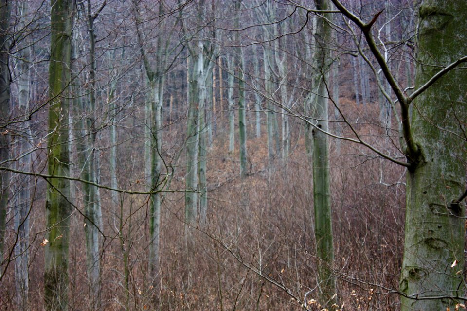 500px_photo_(204745653)