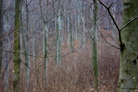 500px_photo_(204745653)