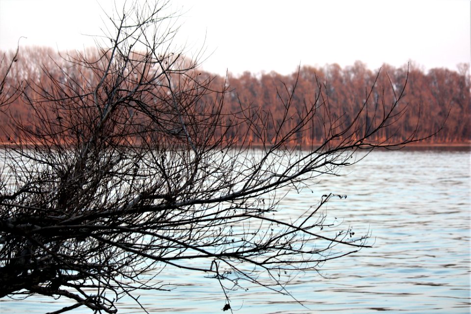 500px_photo_(204743935)