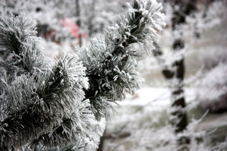 500px_photo_(194874579)