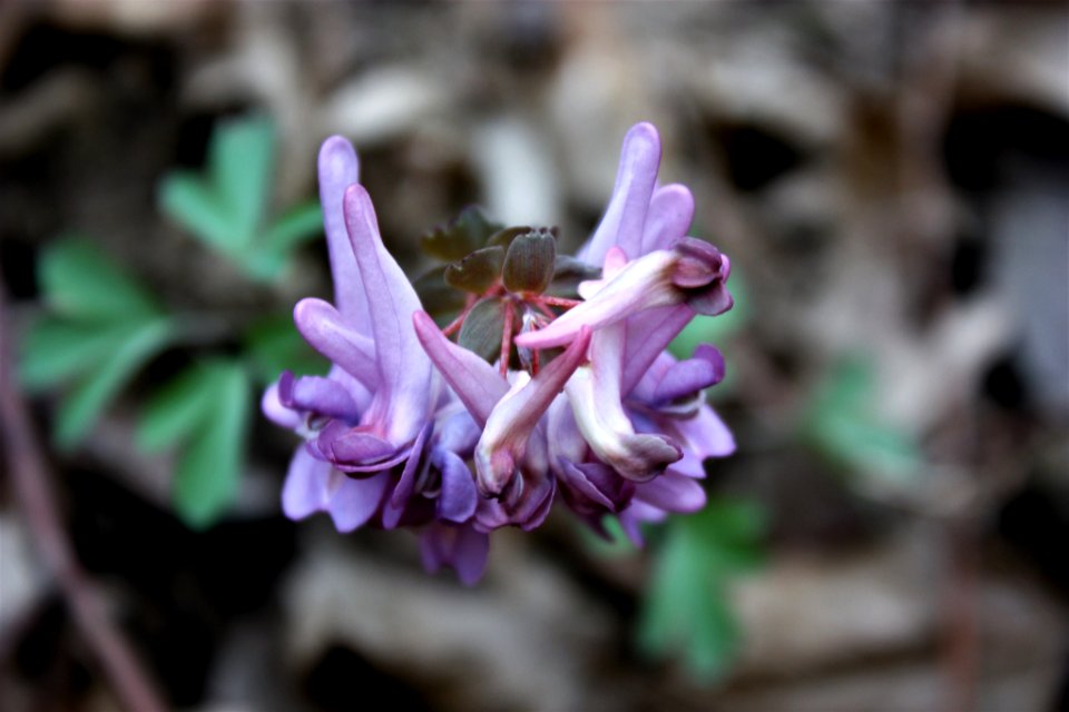 500px_photo_(204745605)
