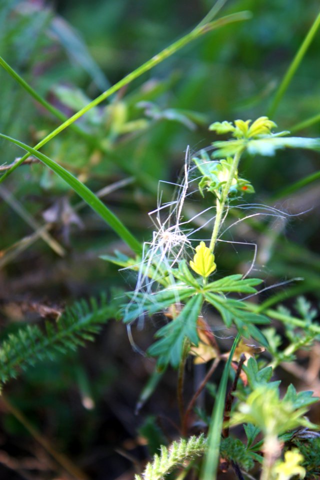 500px_photo_(167960553)