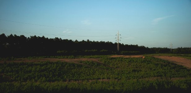500px_photo_(115417241)