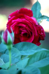 500px_photo_(167959247)