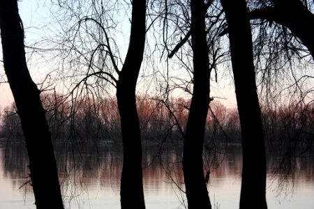 500px_photo_(167954833)