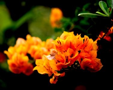 500px_photo_(152630979)
