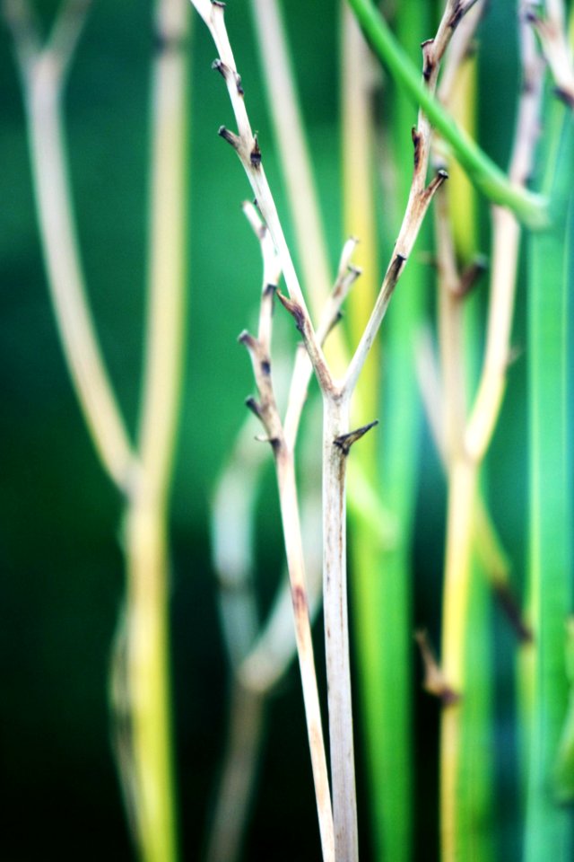 500px_photo_(168094301)
