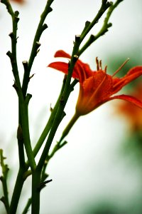 500px_photo_(168063867)