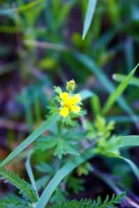 500px_photo_(167960611)