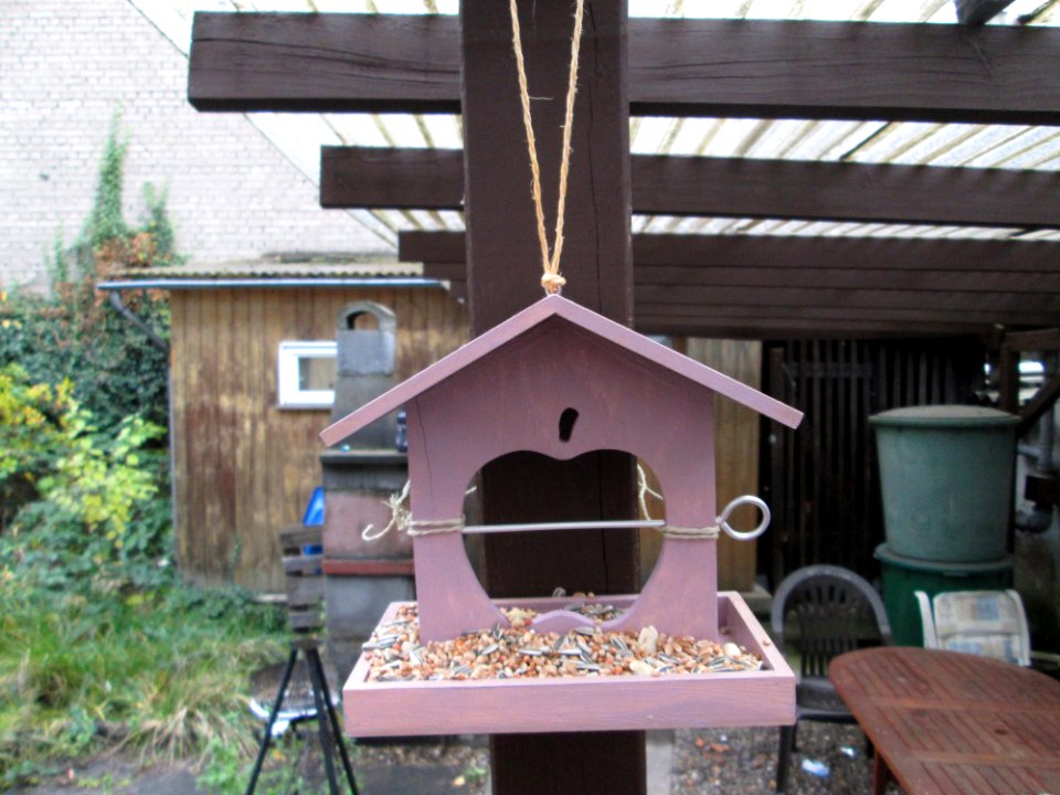 20191128Vogelhäuschen2