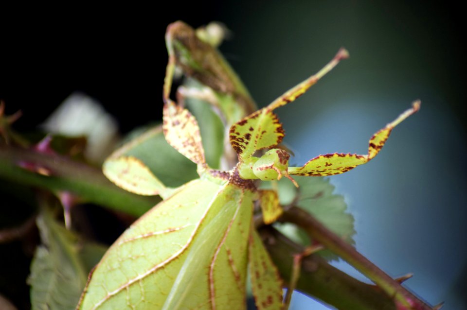 500px_photo_(255381041)