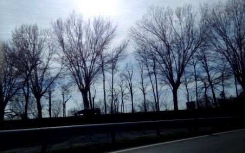 4CASTELLA_28