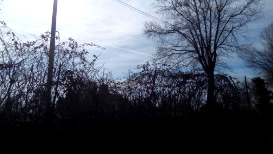 4CASTELLA_32