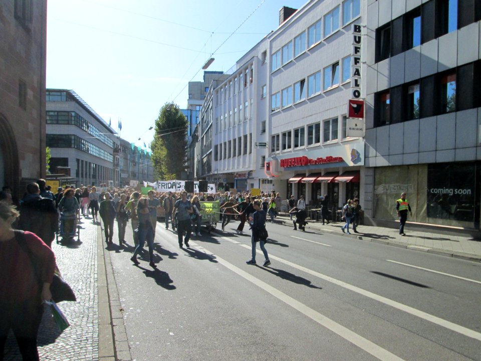 20190920Fridays_for_Future_Saarbrücken27