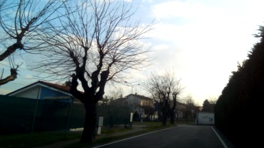 4Castella_80