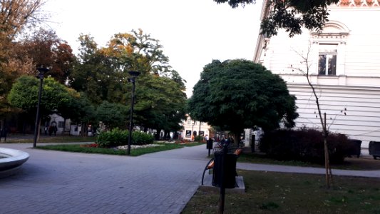 20190923_181426_Rubinsteina_Avenue_in_Łódź_September_2019
