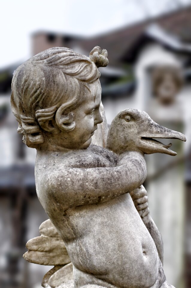 Pierre duck cherub