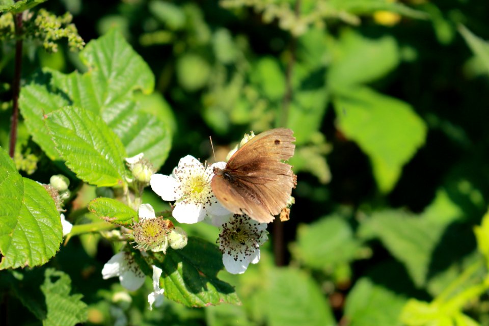 500px_photo_(163493311)