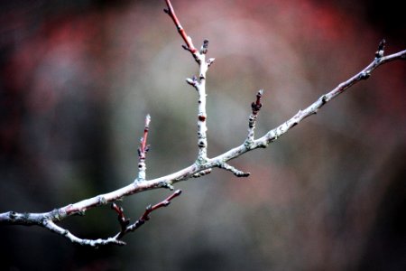 500px_photo_(167954745)