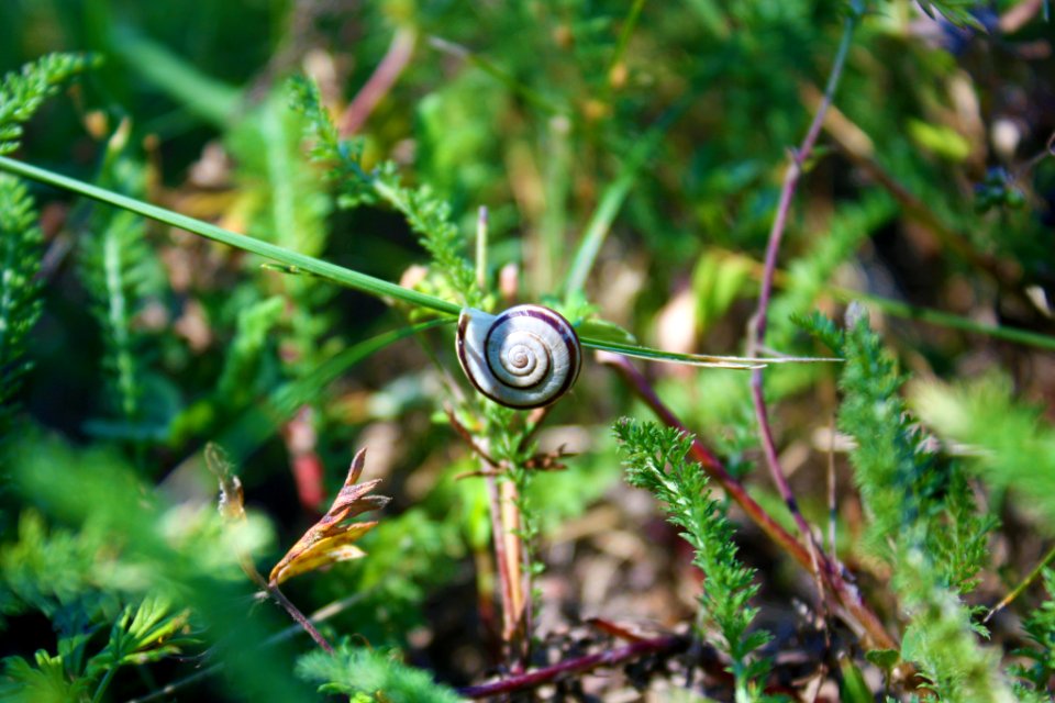 500px_photo_(167960601)