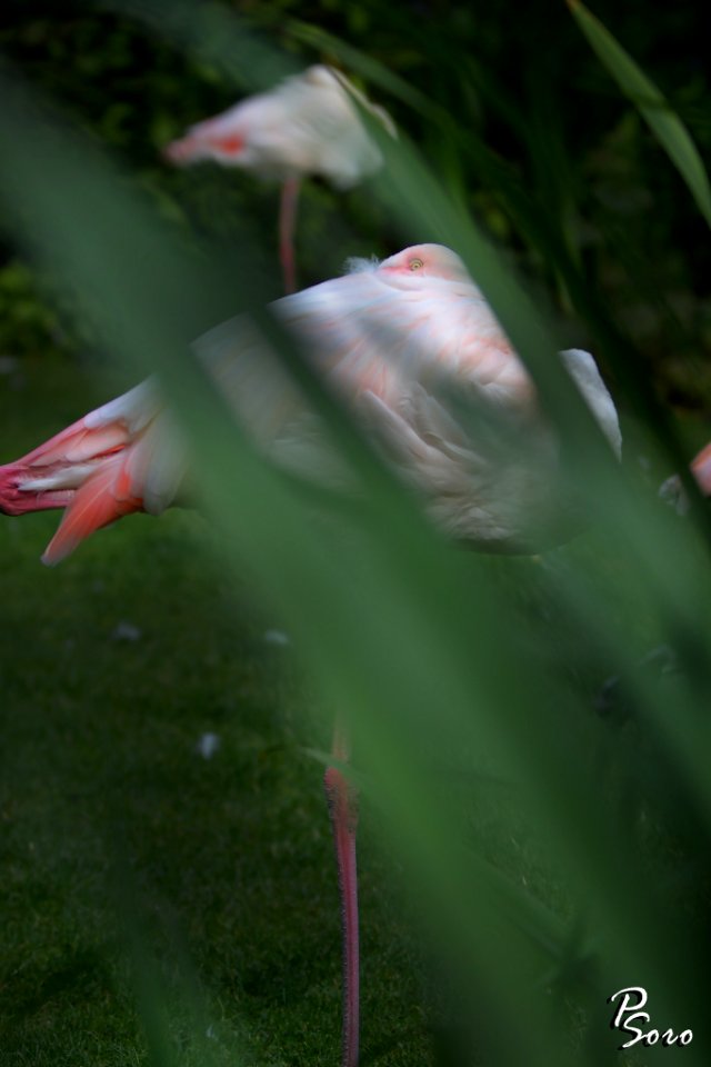 500px_photo_(161428143)