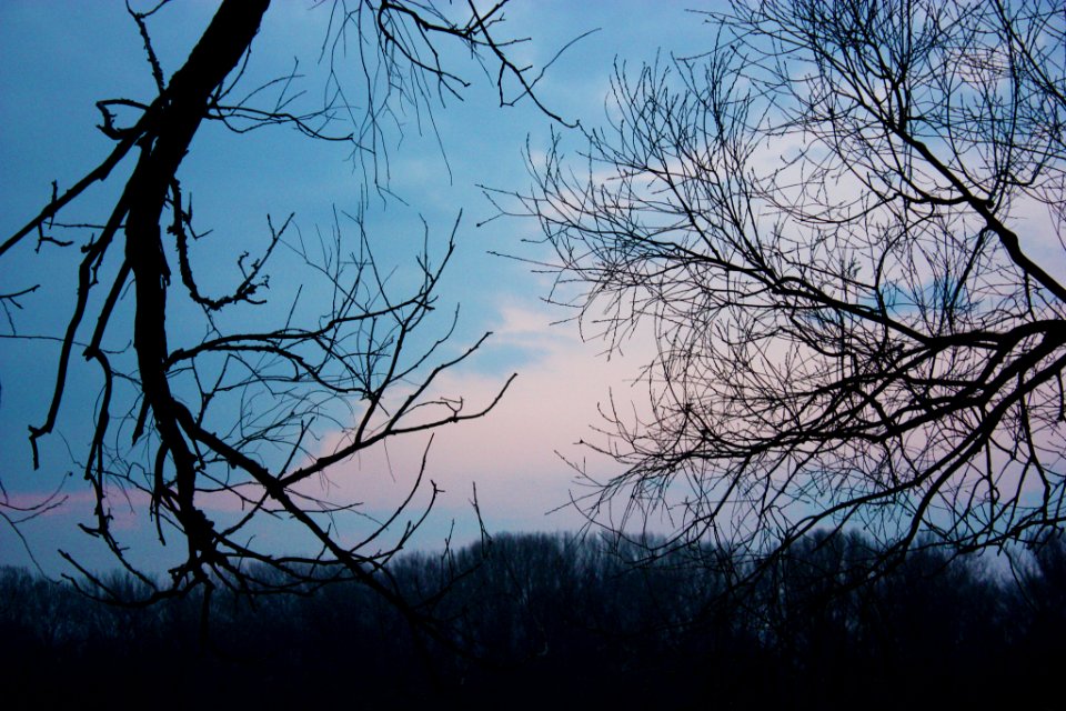 500px_photo_(167954807)