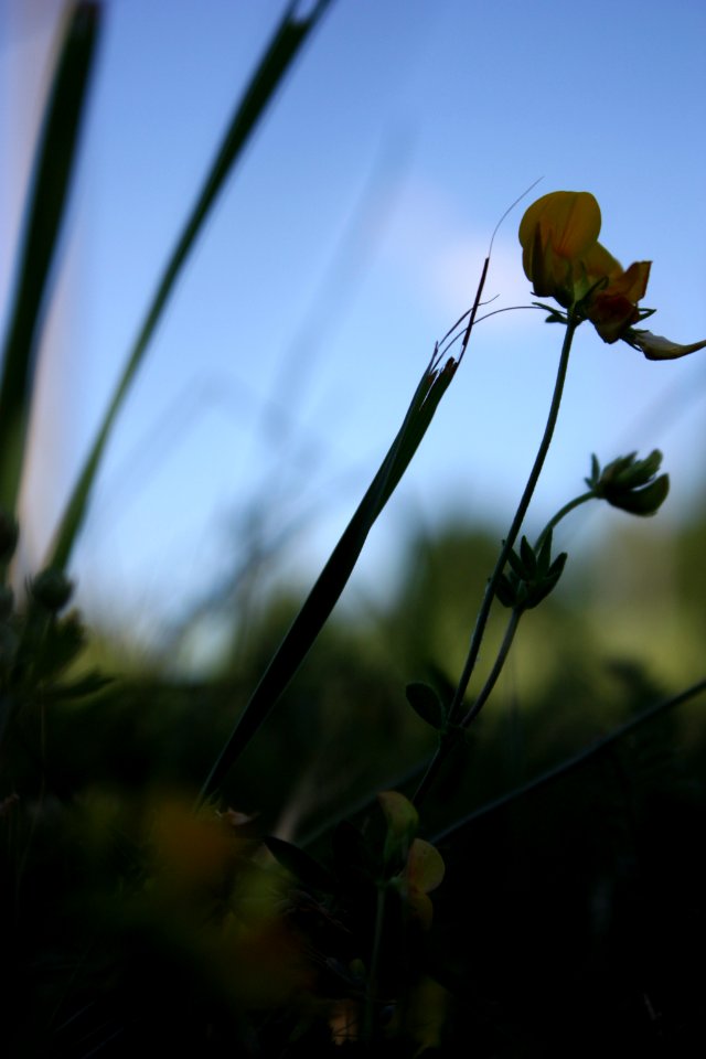 500px_photo_(167960557)