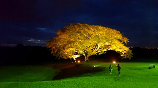 500px_photo_(227846097)