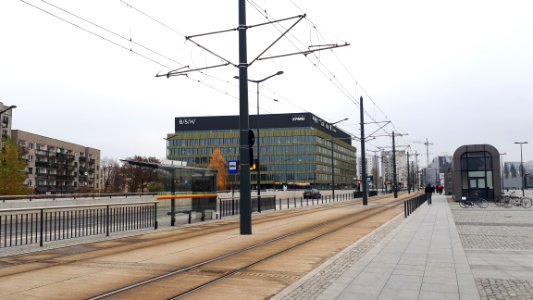20191114_124705_Rodziny_Poznańskich_Avenue_in_Łódź_2019