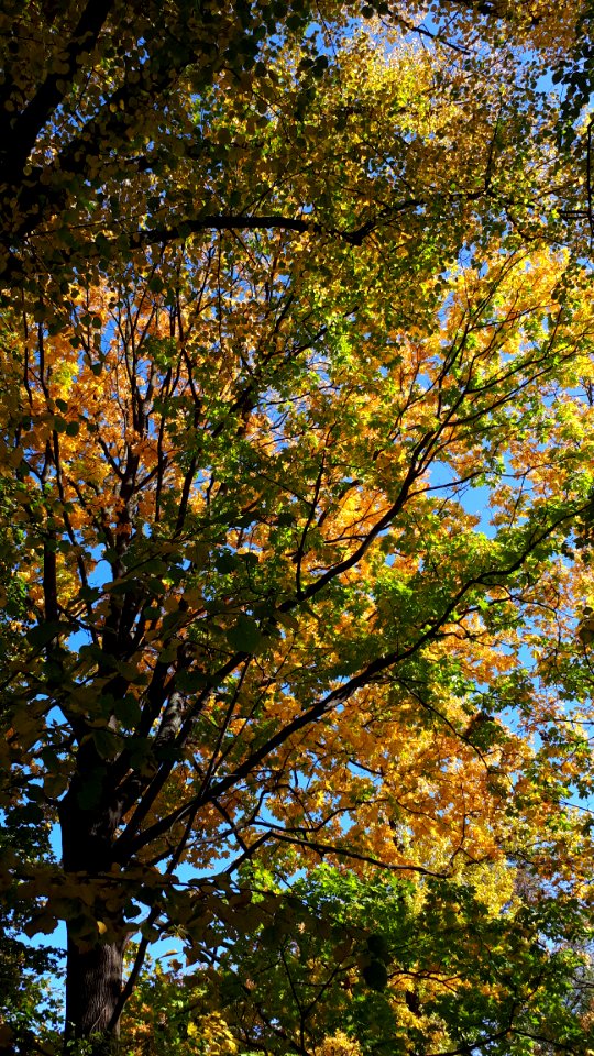 20191014_134905_Park_Staszica_in_Łódź_October_2019