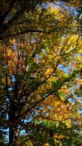20191014_134905_Park_Staszica_in_Łódź_October_2019