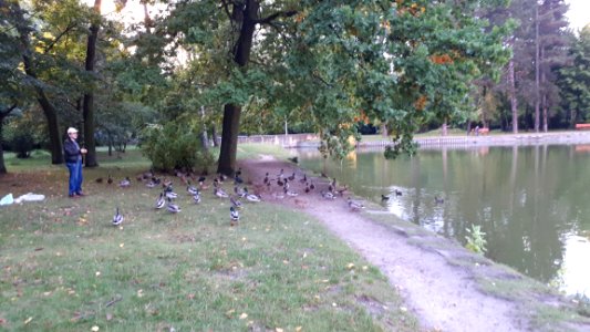 20190928_180728_Park_Piłsudskiego_in_Łódź
