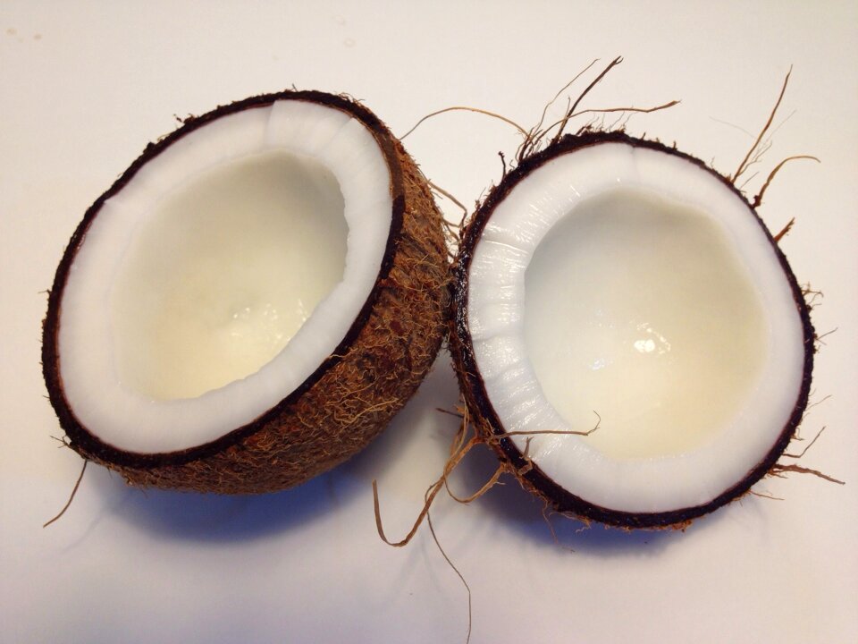 Food gastronomy white
