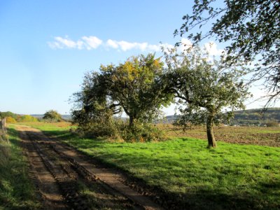20191013Streuobstwiese_Spicheren4