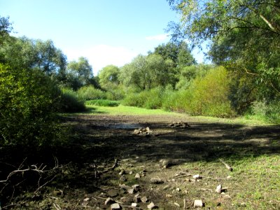 20190917Oberer_Tabaksweiher1