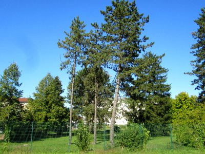 20190914SHG_Klinik_Halberg1