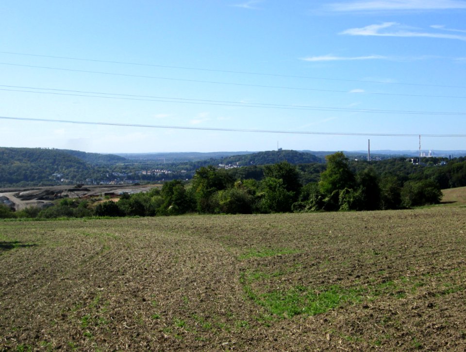 20190918Bischmisheim2