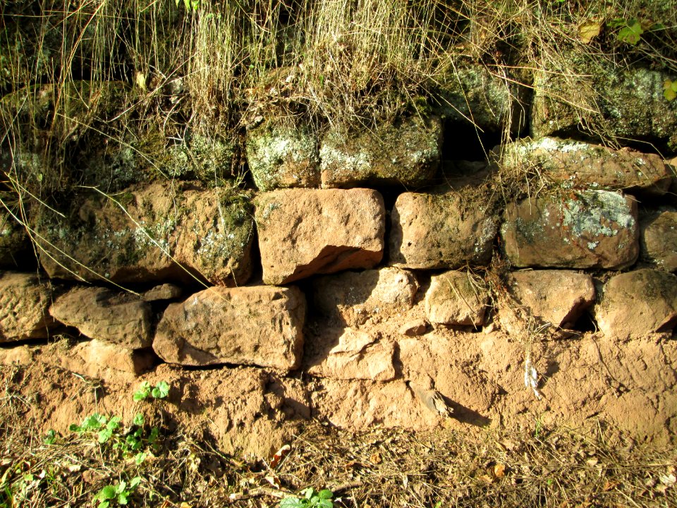 20191013Weinbergsmauer_Simbachta1