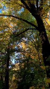 20191014_134857_Park_Staszica_in_Łódź_2019