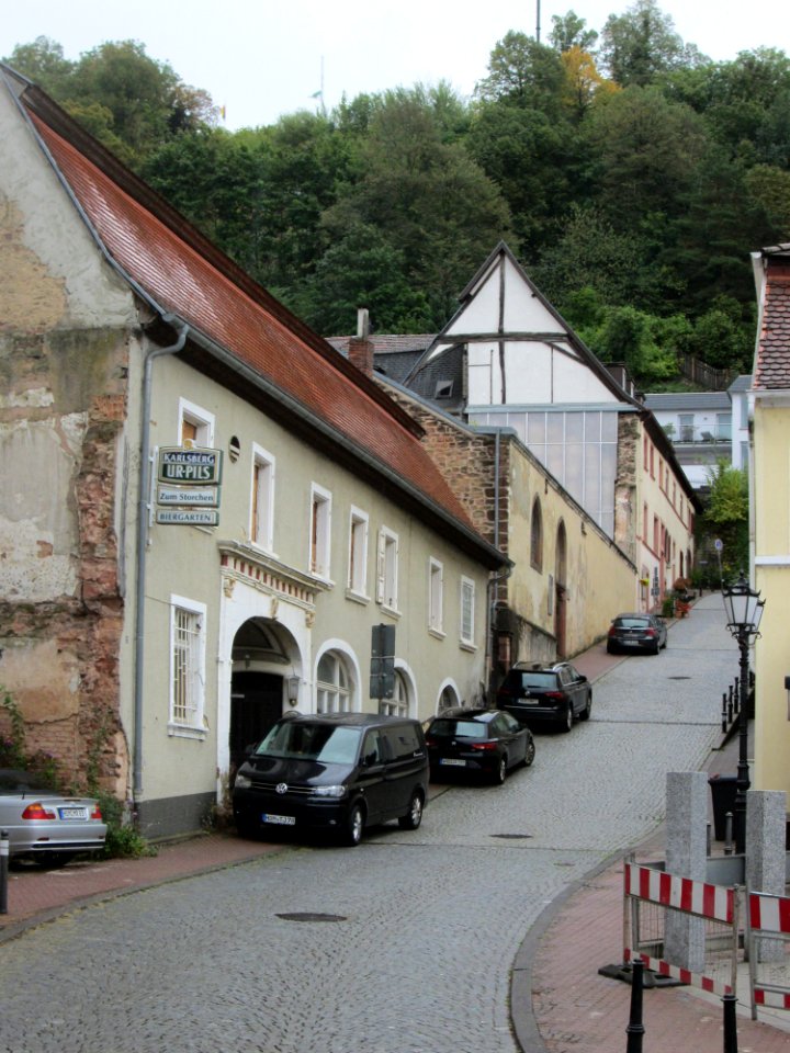 20190926Zum_Srorchen_Homburg1