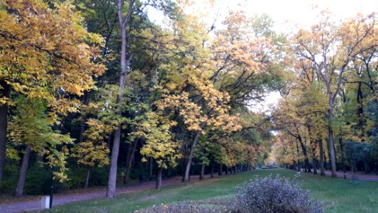 20190928_181557_Park_Piłsudskiego_in_Łódź