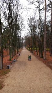 20191110_114048_Park_Konstytucji_3_Maja_w_Białymstoku_November_2019