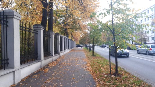 20191015_083936_Narutowicza_Street_in_Lodz_2019