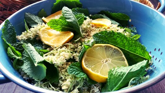 Herbs green aromatic