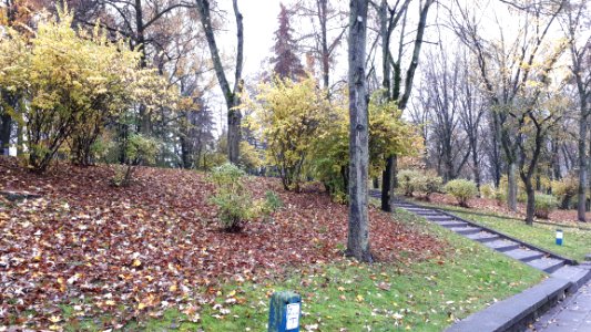 20191111_090627_Park_centralny_in_Bialystok_2019