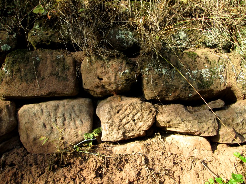 20191013Weinbergsmauer_Simbachta2