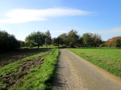 20191013Streuobstwiese_Spicheren2
