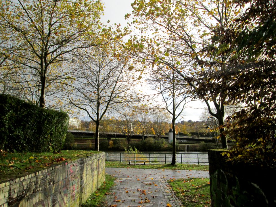 20191107Bürgerpark_Saarbrücken1