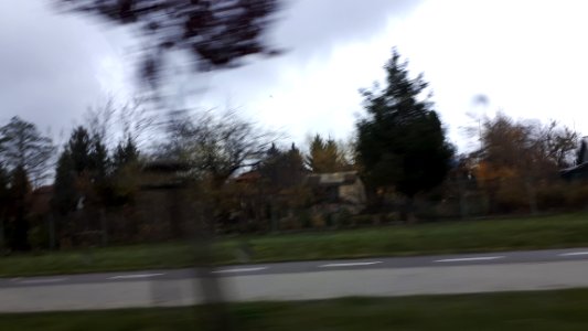20191111_133447_Ogród_działkowy_Sady_Antoniukowskie_November_2019_in_Bialystok