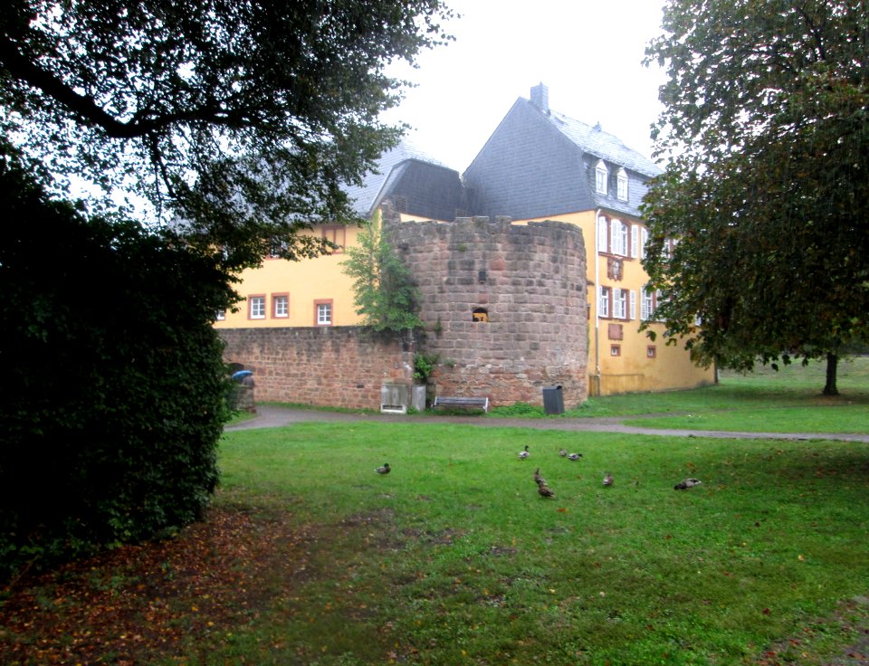 20190926Gustavsburg3